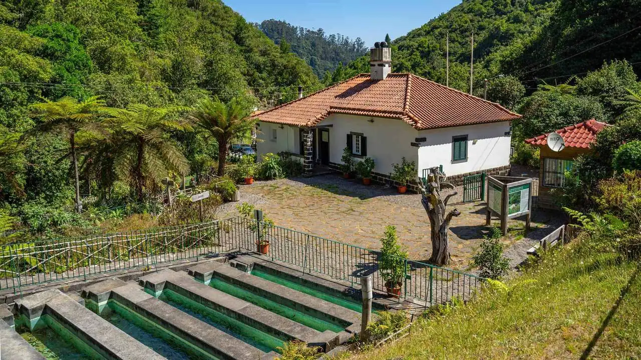 Ribeiro Frio, Madera