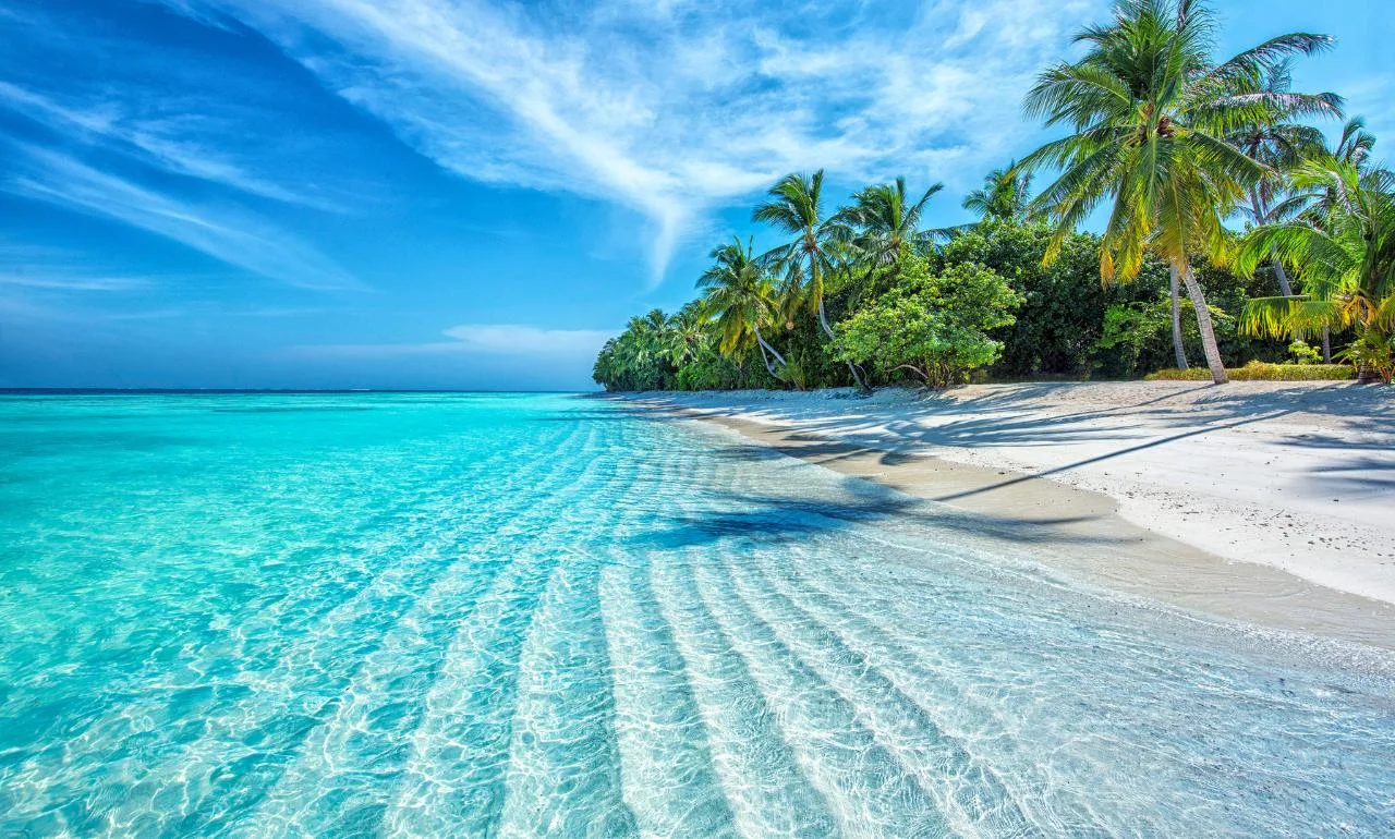 Plaża na Malediwach Plaża na Malediwach