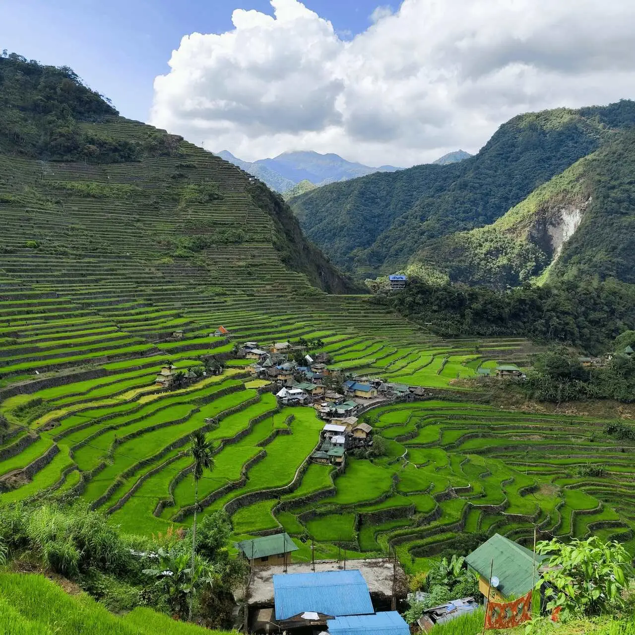 Pola ryżowe na Filipinach
